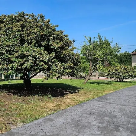 Villa De Lujo En Gijón, Piscina Climatizada, Bar